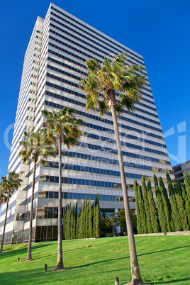 Modern office building with palms