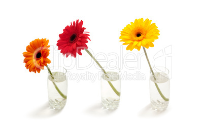 Flowers in a glass