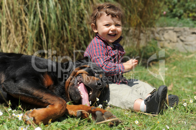 rottweiler and child