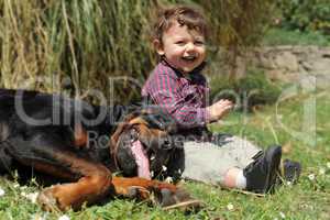 rottweiler and child