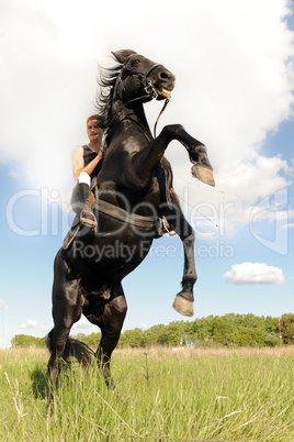 rearing horse