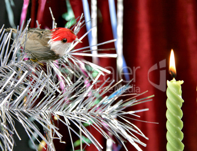 decorative candle and birdy