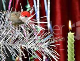 decorative candle and birdy