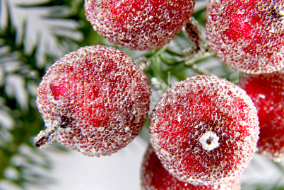 decorative apples