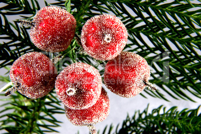 decorative apples