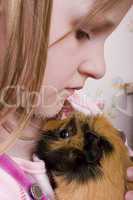 little girl and her guinea pig