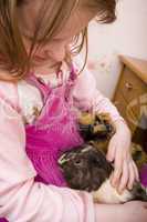 little girl holding guinea pigs
