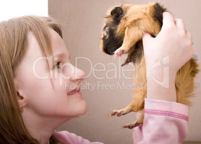 little girl holding guinea pig