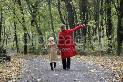 forest walk