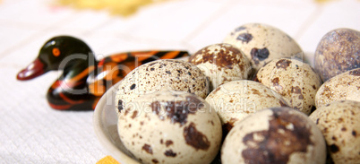 quail eggs