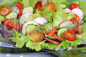 Summer salad of fresh vegetables