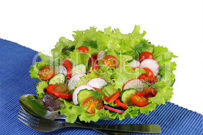 Summer salad of fresh vegetables