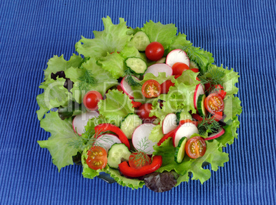 Summer salad of fresh vegetables