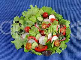 Summer salad of fresh vegetables