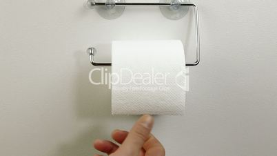 Taking Sheets Of Toilet Paper