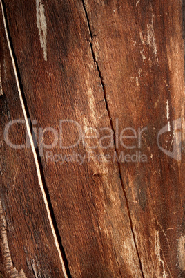 Detail of dried bare logs