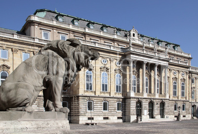 buda castle_3