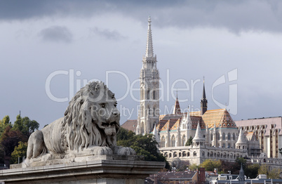 stone lion