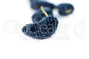 fresh ripe mulberry over white