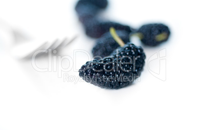 fresh ripe mulberry over white