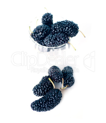 fresh ripe mulberry over white