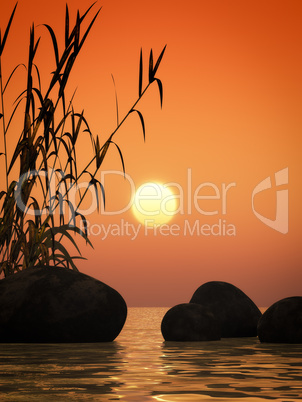 ocean sunset bamboo and stones