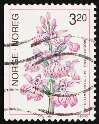 Postage stamp Norway 1990 Common Spotted-orchid, Dactylorhiza Fu