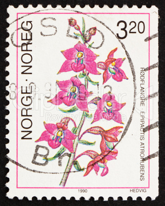 Postage stamp Norway 1990 Dark Red Helleborine, Epipactis Atroru