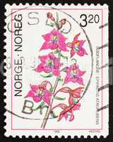 Postage stamp Norway 1990 Dark Red Helleborine, Epipactis Atroru
