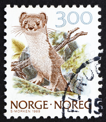 Postage stamp Norway 1989 Ermine, Stoat, Mustela Erminea