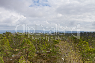 view over forest with cloudy sky