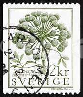 Postage stamp Sweden 1984 Garden Angelica, Angelica Archangelica