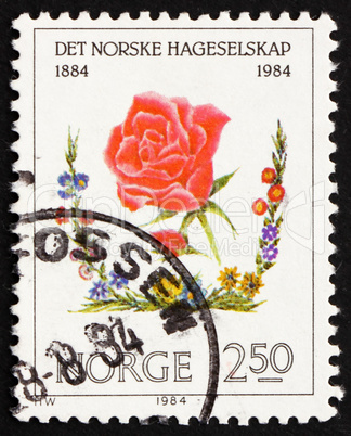 Postage stamp Norway 1984 Red Rose