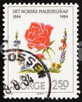 Postage stamp Norway 1984 Red Rose