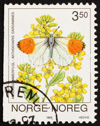 Postage stamp Norway 1993 Orange Tip Butterfly, Anthocaris Carda