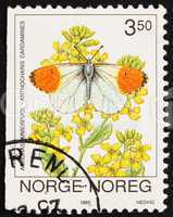 Postage stamp Norway 1993 Orange Tip Butterfly, Anthocaris Carda
