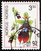 Postage stamp Norway 1992 Fly Orchid, Ophrys Insectifera