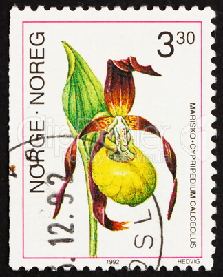 Postage stamp Norway 1992 Lady?s- slipper Orchid, Cypripedium