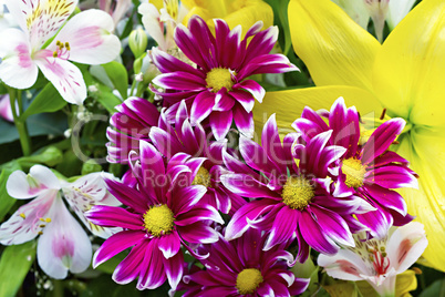 different colorful flowers in the background