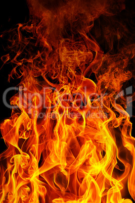 fire on a black background