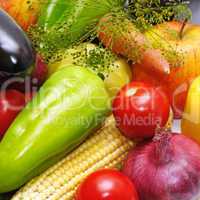 vegetables and fruits