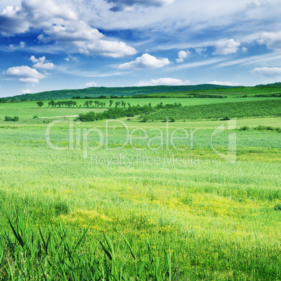 Field, mountains and blue sky