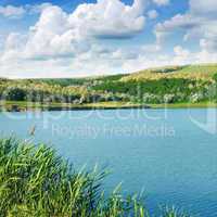 lake and green fields