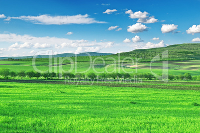 Field, mountains and blue sky
