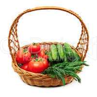 Tomatoes and cucumbers in a basket