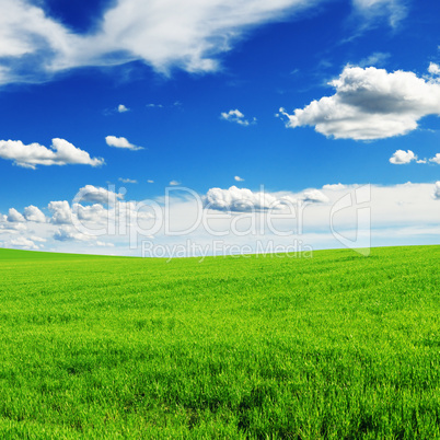 field and sky