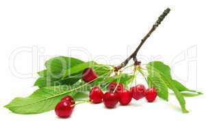 sweet cherries