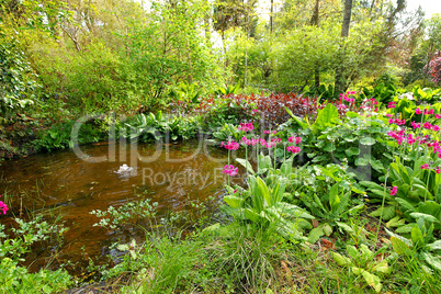 Small pond in the old garden