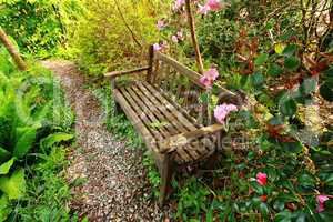 Beautiful romantic garden with wooden bench and azalea trees