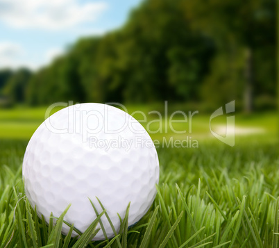 Golf Ball